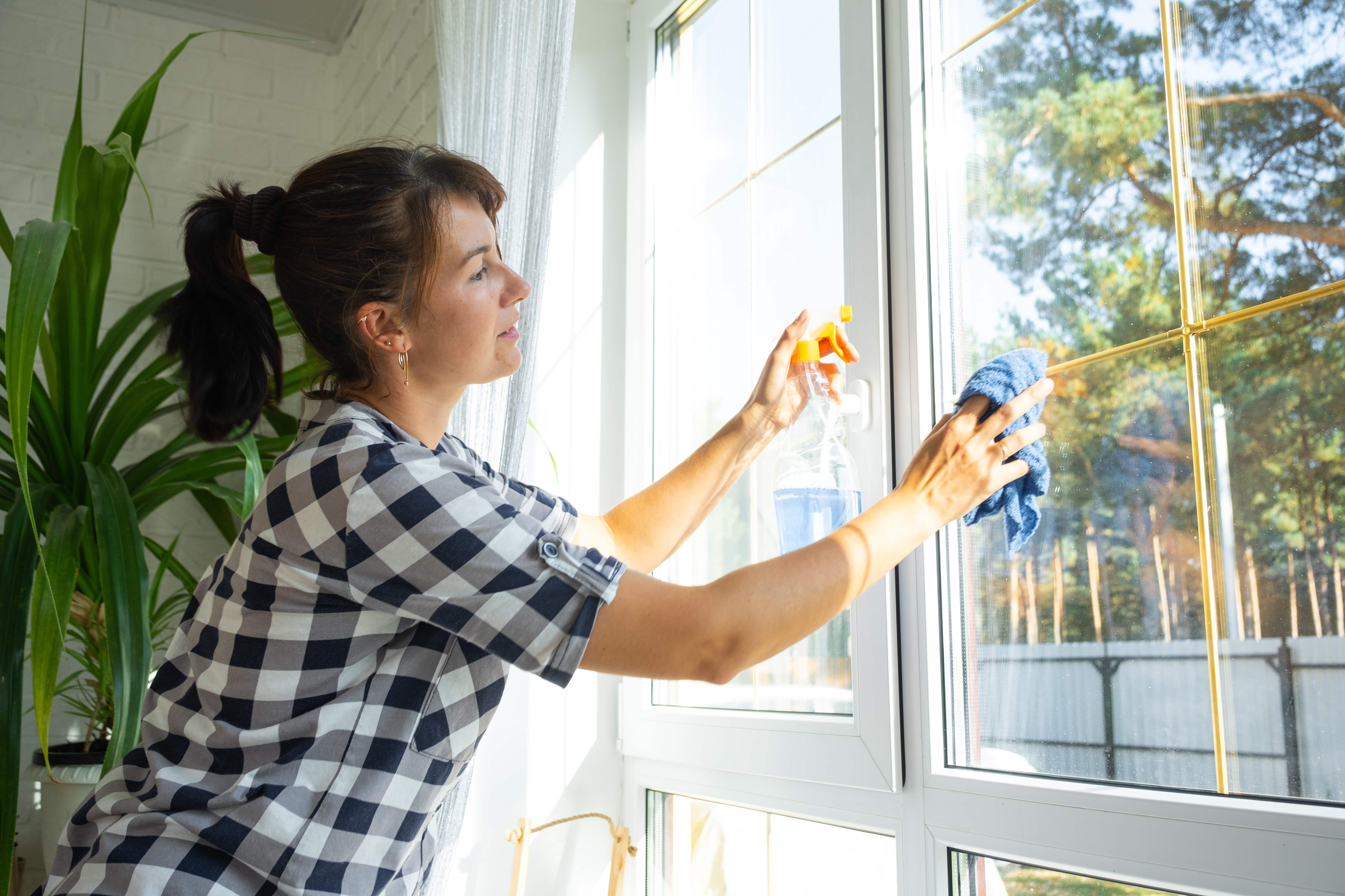 Sunlight through freshly cleaned windows in a plant-filled home